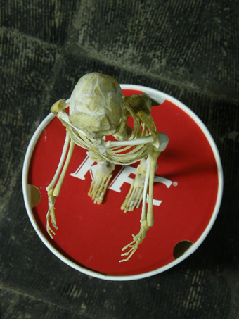 スケルトン,skeleton,2009